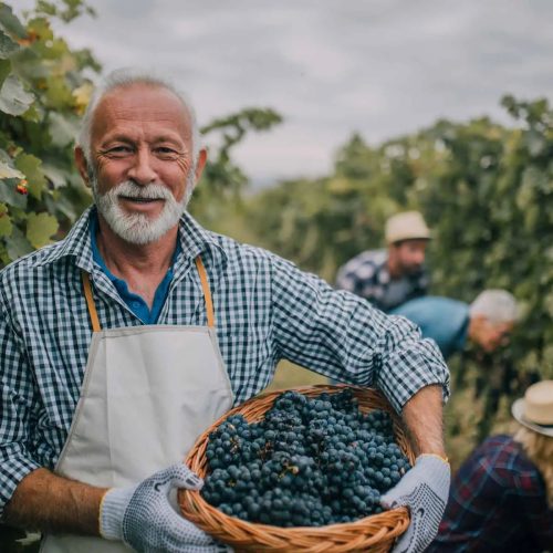 old-smiling-man-winery-1